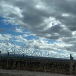 Photo taken by Madeleine S