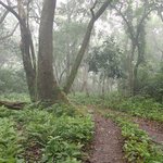 Photo taken by Katherine J