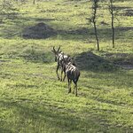 Photo taken by Michael L