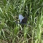 Photo taken by Donna G