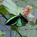 Photo taken by Kelsey D