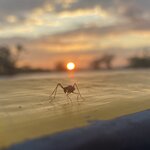 Photo taken by Jessica S