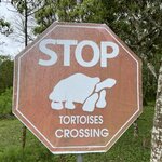 Photo taken by Kayla H