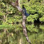 Photo taken by JULIE M