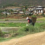 Punakha | Photo taken by carole c