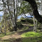 Photo taken by Suzanne M