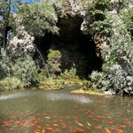 Photo taken by Susan S