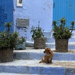 Photo taken by Jackie O