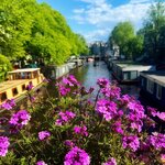 Photo taken by Nancy M