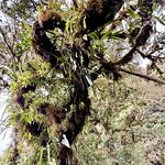 Photo taken by Ben B