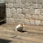 Photo taken by Nancy A