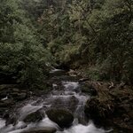 Photo taken by Anna A