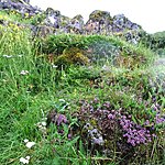 Photo taken by Eneken M