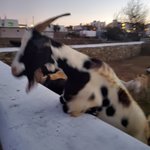 Photo taken by Patricia K