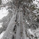 Photo taken by Monique V