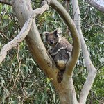 Photo taken by Scott L