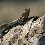 Photo taken by Martin L