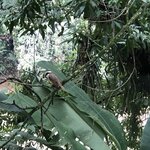 Photo taken by Anna L