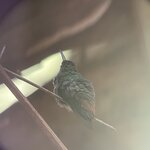 Photo taken by Joyce C