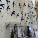 Photo taken by Ashley B