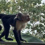 Photo taken by Randy H