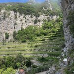 Photo taken by Nisah M