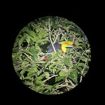 Photo taken by Matt P