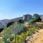 Photo taken by Allison S