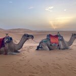 Photo taken by Cynthia F