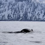 Photo taken by Marsha W