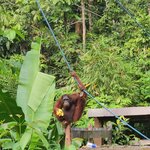 Photo taken by Sabiha K