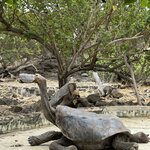 Photo taken by Cathy V