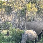 Photo taken by rhonda c