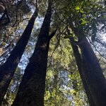 Photo taken by Wendell C