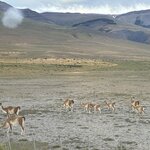 Photo taken by Brian O