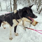 Photo taken by Ronnie B