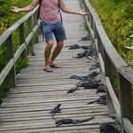 Photo taken by Steven M