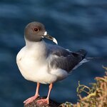 Photo taken by Joseph P