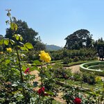 Photo taken by Bryce W