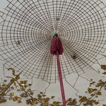 Photo taken by Gary L