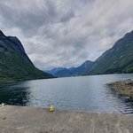 Photo taken by Prem P