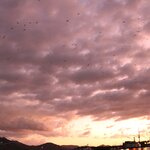 Photo taken by Uriah C