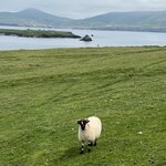 Photo taken by Debi H