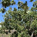 Photo taken by Ken P