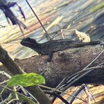 Photo taken by Mary D