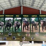 Photo taken by Lisa M