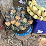 Photo taken by Shaula L