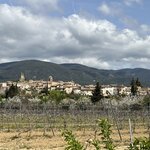 Photo taken by Maud Alison L