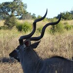 Photo taken by Kaye D