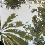 Photo taken by Shanthi V